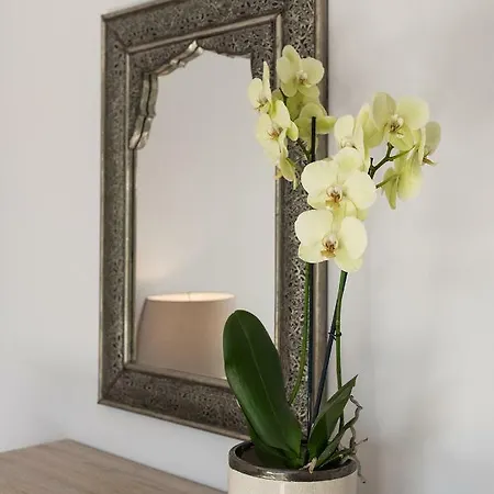 Appartement Apartament 50m2 - 3 Minuty Od Plazy